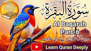 Stunning Recitation Of Surah Al Baqarah (6) || سورة البقرة || Free Copyright Quran #quranrecitation