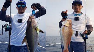 Sulu Sea | Slow Pitch Jigging