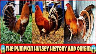 The pumpkin hulsey history and origin.