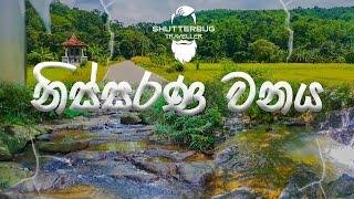 Nissarana Wanaya | නිස්සරණ වනය