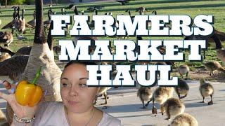 FINALLY EXPLAINING MY DEGREE/ FARMERS MARKET HAUL