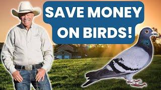 SAVE HUNDREDS OF DOLLARS on Birds in the Field While Training Your Hunting Dog