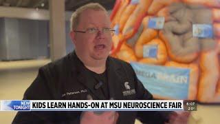 Neuroscience fair sparks kids’ curiosity during brain awareness week