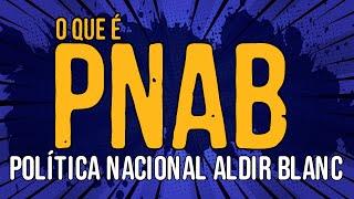 O Que É PNAB   Política Nacional Aldir Blanc