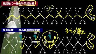 選修生物1 2 09脂質 飽和與不飽和脂肪酸二公