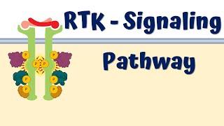 RTK Signaling Pathway || 4K animation video