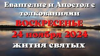 Евангелие дня 24 НОЯБРЯ 2024 с толкованием. Апостол дня. Жития Святых.