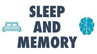 Why sleep is important for your memory