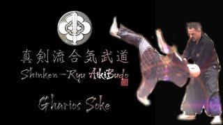 Shinken-Ryu Aiki-Budo lecture/demonstration Gharios El Chemor Soke