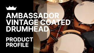 Ambassador Vintage Coated Drumhead | Remo
