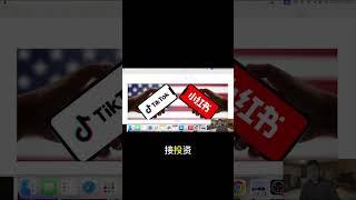 创业与投资：谁更赚钱？