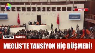 Sokak hayvanları düzenlemesi Meclis'ten geçti!