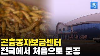 국내 곤충산업을 선도할 충북의 ‘곤충종자보급센터' 문 열었다 / KBS뉴스(News) 충북 / KBS청주