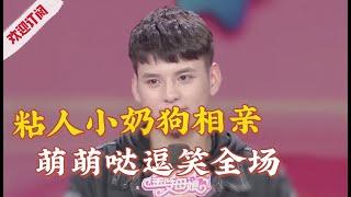 男嘉宾被称“粘人小奶狗”,萌萌哒对话逗笑全场!【金牌丈母娘】