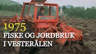 Fiske og jordbruk - er det fremtiden for Vesterålen? (1975)