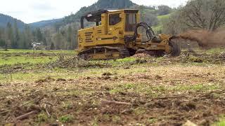 Brinks Land Improvement Grinding Oak Stumps in 4k