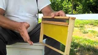 Honey Bee Mite Treater Frame - FatBeeMan