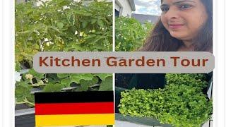 Kitchen Garden Tour of New house || vegetable Garden in Germany|| vegetable Gardening in Germany