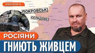 ️НАСТУП ТРИВАЄ: важкі бої у Селидовому / Росіяни жаліються на жахливі умови // Тимочко