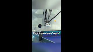 Robotic ping-pong "coach" at China's import expo