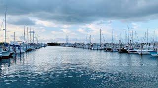 Lush Green Miami 4K morning Ocean Walk w Sharkmama - Regatta Harbour Marina in Coconut Grove