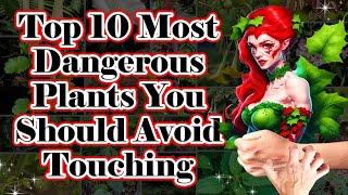 Top 10 Most Dangerous Plants You Should Avoid Touching