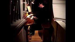 Johann Sebastian Bach, Concerto in A minor BWV 593, played by Luca Scandali (live recording)