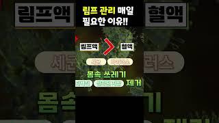 아침에 유달리 몸이 피곤하다면 림프관리가 필요한때!