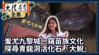 《完整版》蚩尤九黎城一窺苗族文化 探尋青龍洞活化石「大鯢」【@ctvchinatvEP1839】