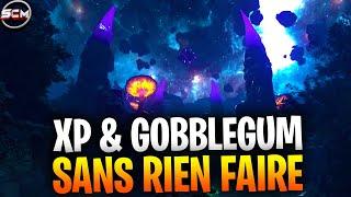 GLITCH XP Gobblegum illimité Sans Rien Faire Black Ops 6, Comment Faire 999 Manche sur The Tomb Bo6