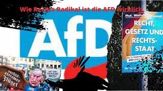 AFD | wirklich Rechts Radikal ??? DokuHD