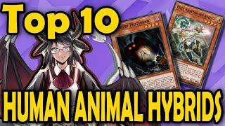 Top 10 Human Animal Hybrid Yu-Gi-Oh Cards