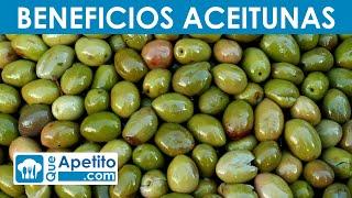 8 Propiedades y Beneficios de las Aceitunas | QueApetito