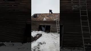 Демонтаж сарая