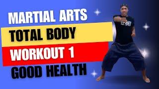 Martial Arts Total Body Workout 1 - Good Health