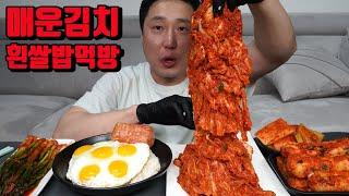 매운김치 파김치 총각김치 섞박지 햄 계란후라이 김치 먹방 korean spicy kimchi mukbang eating show