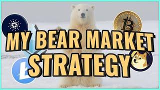 My Strategy for handling a crypto BEAR market - How Millionaires are Made!!