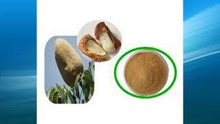 sky fruit extract supplier,wholesale,bulk,factory