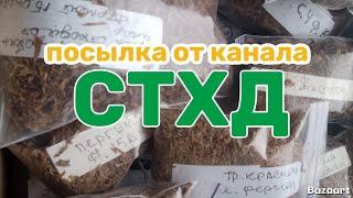 Очередная посылка, от канала Стройка,Табаководство, Харьков, Дача