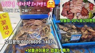 6/23일 킹크랩 대게 꽃게 모둠회 04시반 정규라이브(월~토)️Only one 새롭고 싸고  노량진수산시장 새벽 쇼핑을 돕는 정규생방송(Live)운영~