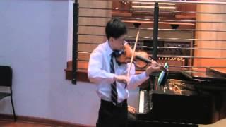 Violin Concerto in D minor, 1st Movement   Jean Sibelius