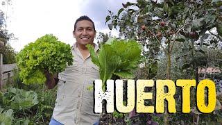 Les muestro mi HUERTO I Doctv Ecuador