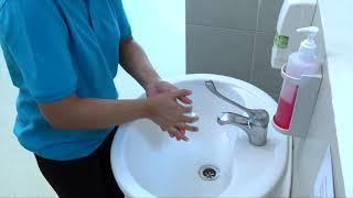 7 Steps to Hand Hygiene