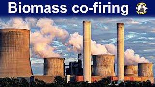 What is Biomass Co-firing ? How much Biomass co-firing is done in Indian coal fired power plants ?