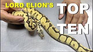 Lord Elion's Top 10 Ball Pythons Of 2020 !!