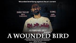 The Documentary - A wounded Bird 2017