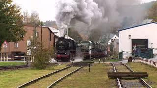 NVA Militärzug mit 50 3616 in Richtung Osten Schwarzenberg - Markerbach