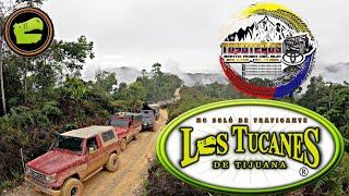 No Sólo De Traficante - Los Tucanes De Tijuana #tucanesdetijuana #santarosadelsur @lostucanesdetj