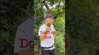 Bees Swarm Beekeeper!