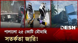 উলটে গেল ট্রাক, রাণী মৌমাছির খোঁজে চিরুনি অভিযান! | Bee | Honey | Desh TV